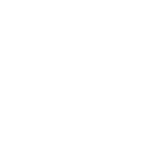 Bremse